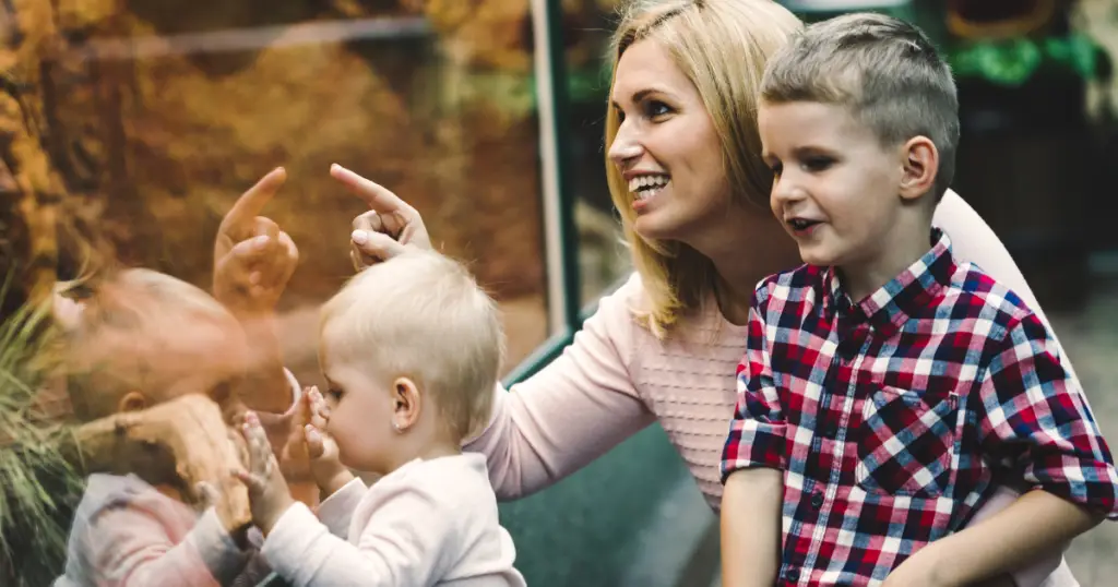 A woman and two children stand at a glass window, observing something outside. The woman points with interest while the kids watch closely, perhaps taking in the scenic beauty of a nearby RV park in Willis, Texas.