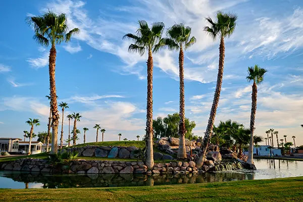 Palm trees surround a rocky mound by a tranquil pond under a blue sky with scattered clouds, evoking May memories of serene days and peaceful reflections.