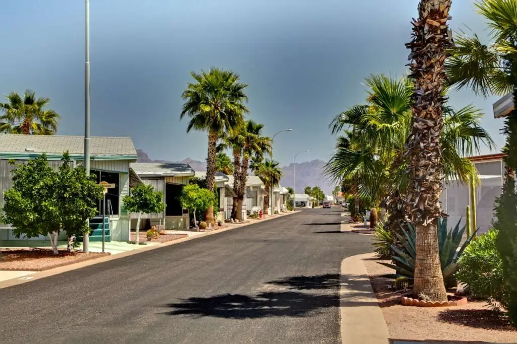 A residential street lined with palm trees and mobile homes basks in the golden glow of sunrise on a sunny day, with majestic mountains visible in the background, offering a serene experience that captures the essence of all seasons.
