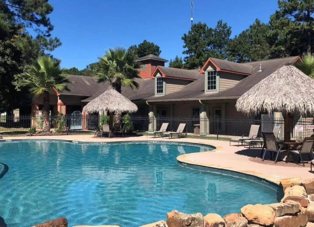 A serene pool surrounded by palm trees and sun loungers sits adjacent to a thatched-roof cabana, offering a perfect relaxation spot under the clear blue sky. Enjoy this oasis before exploring the exciting activities near The Woodlands.