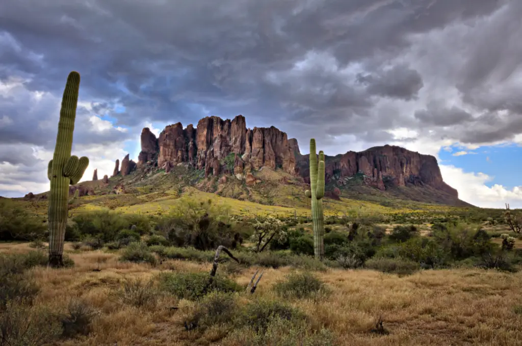 In the heart of May, the desert landscape evokes memories with its tall cacti and rugged mountains standing majestically under a cloudy sky.