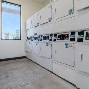 Rows of white washing machines and dryers line the walls of Rayford Crossing's bright laundromat, complete with a single window.