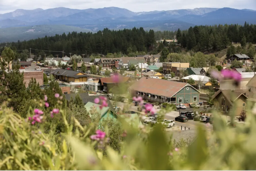 Nestled in Coachland, a small town reveals its thawing beauty with houses and buildings framed by lush trees and majestic mountains. Pink flowers in the foreground add a vibrant splash of color, capturing the serene essence of this modern mountain awakening.