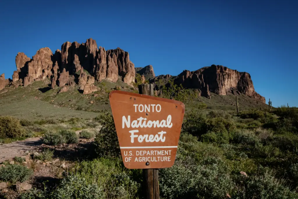 Sign for Tonto National Forest in the foreground with rocky mountains and greenery under a clear blue sky, showcasing one of the stunning local attractions perfect for outdoor escapades.