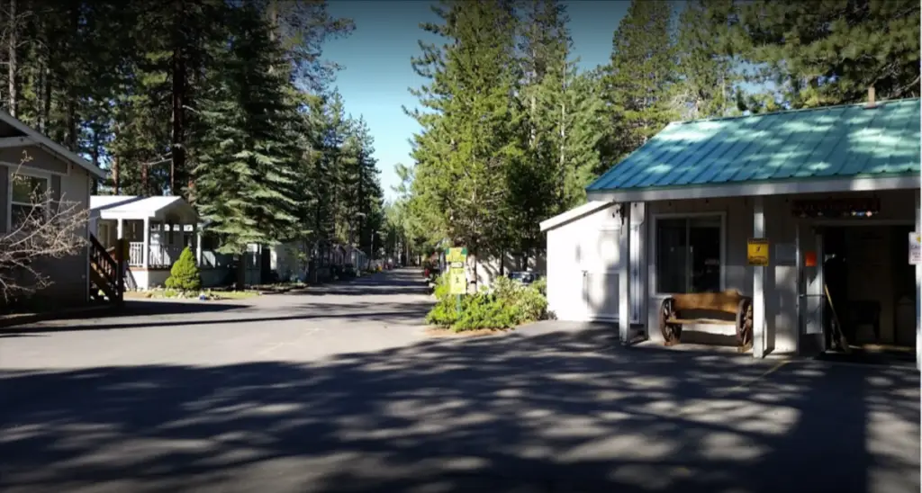 A tree-lined street in a forested area with houses on either side evokes the serene charm of Coachland. A building with a green metal roof stands prominently in the foreground, reminiscent of the peaceful retreat found during California camping adventures.