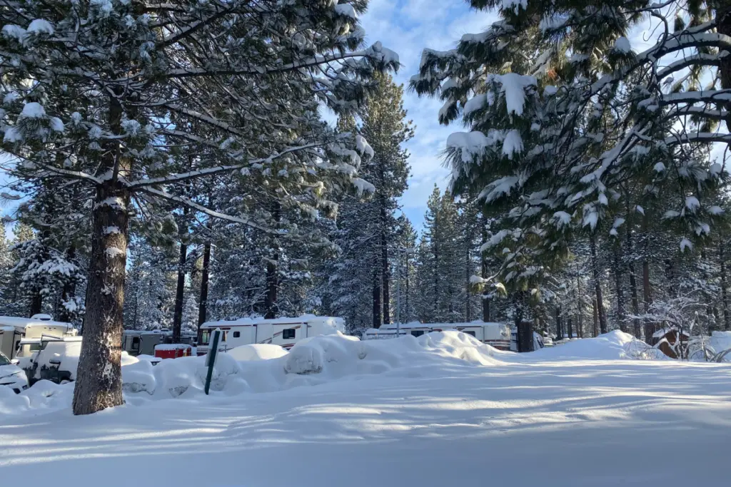 Snow-covered campground in Truckee with RVs surrounded by tall pine trees under a partly cloudy sky, showcasing winter highlights.