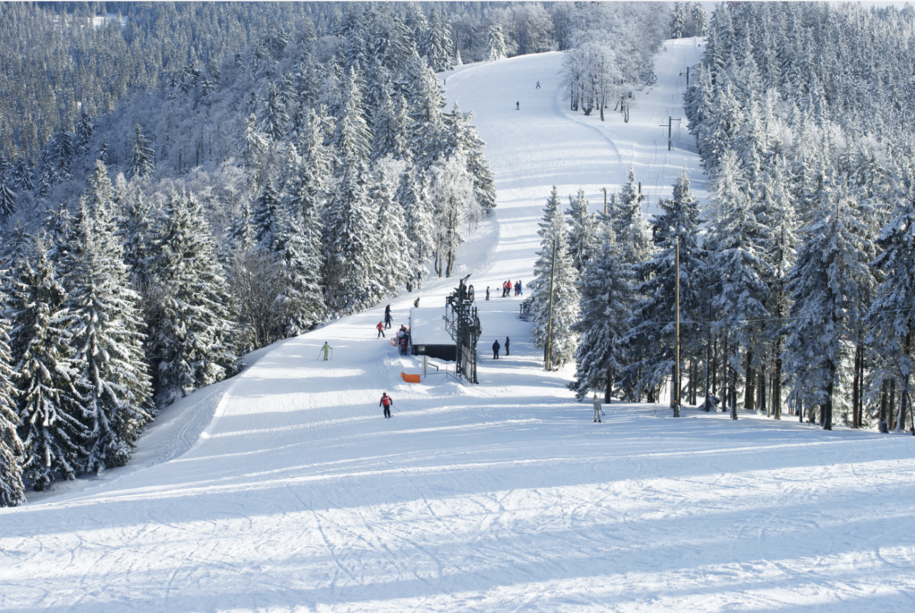 A snow-covered ski slope with skiers gracefully descending creates a perfect winter stay. Snow-laden trees line the slope under a cloudy sky, making it an ideal holiday retreat.