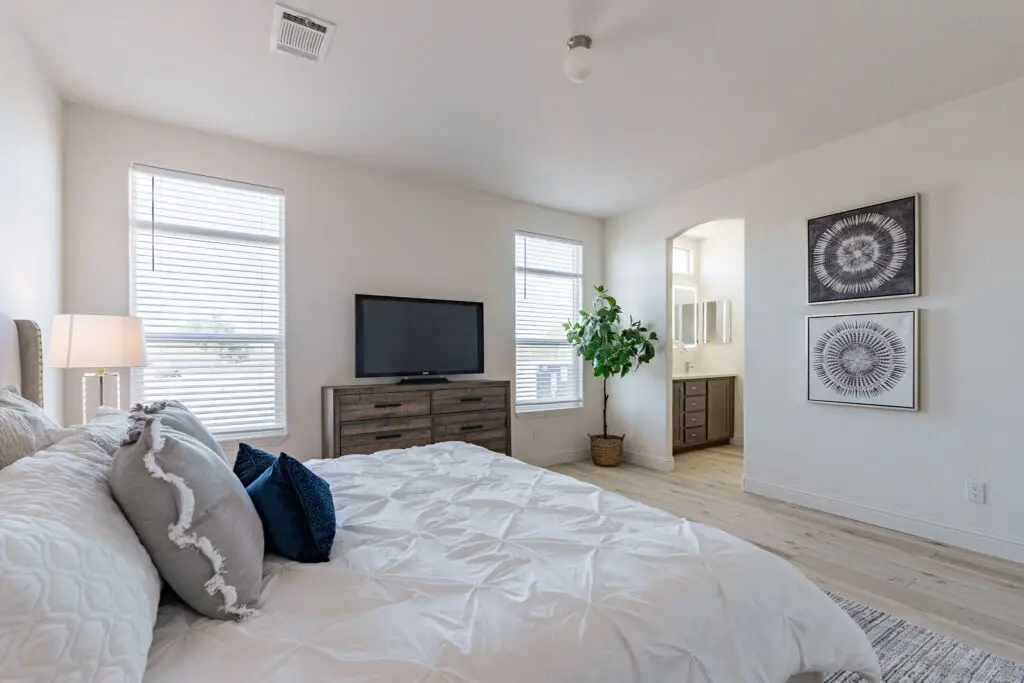 Modern bedroom with a large bed, TV on a wooden dresser, potted plant, and decorative wall art; bright natural light from windows.