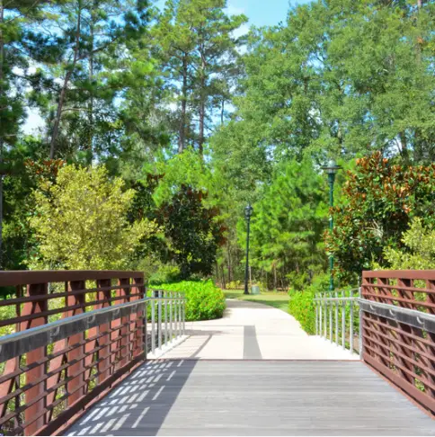 A wooden bridge at Rayford Crossing guides visitors to a paved pathway, surrounded by lush green trees and foliage under a clear blue sky. Embrace one of the spring attractions as nature comes alive all around you.