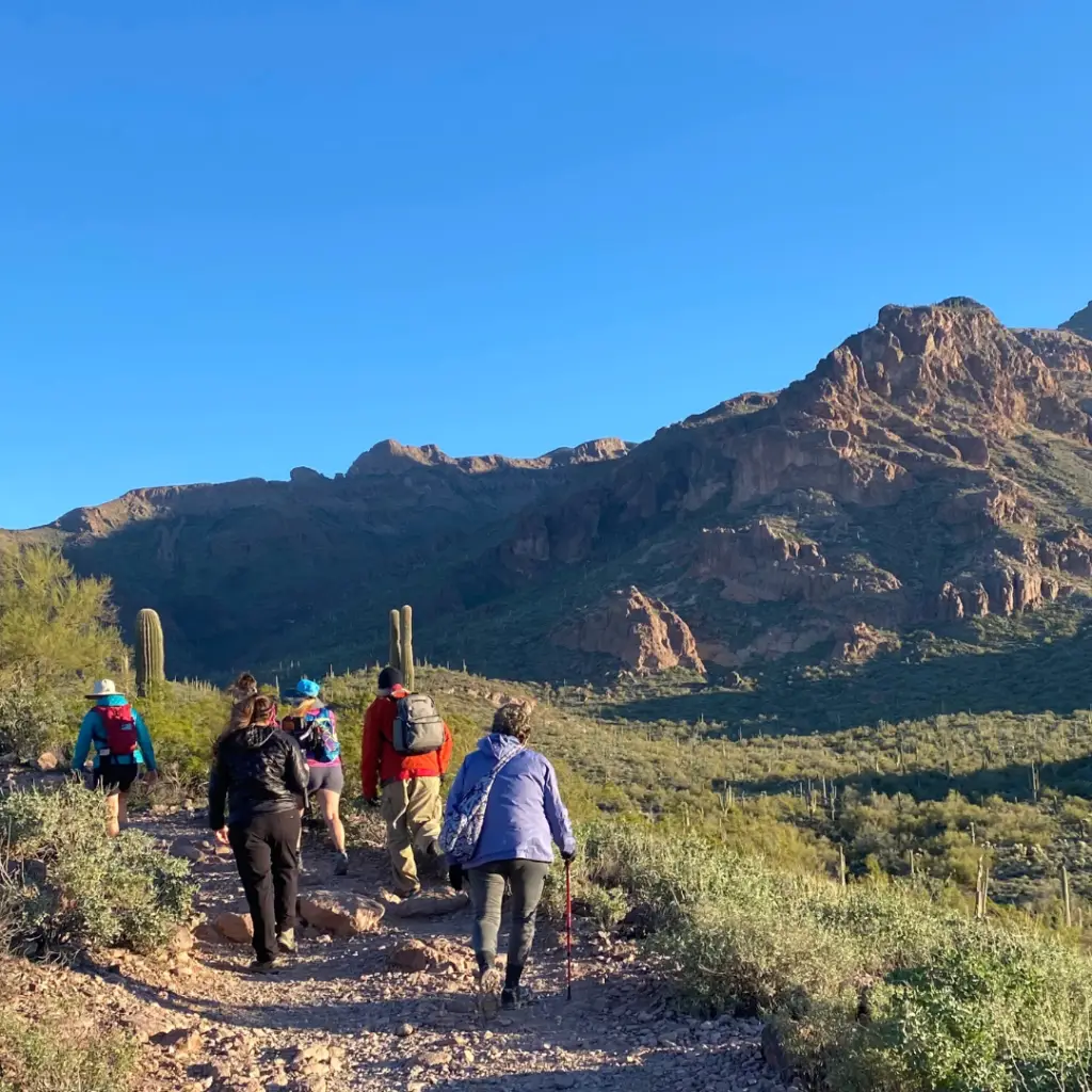 A group of hikers walks along a desert trail in Gold Canyon, surrounded by mountainous terrain and cacti under a clear blue sky.