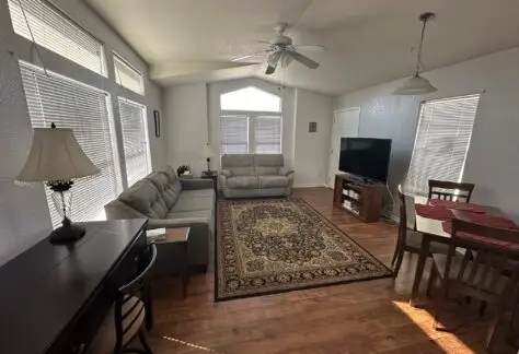 A living room with a gray sofa, a patterned rug, a flat-screen TV, wooden furniture, and a ceiling fan. Sunlight streams through large windows, illuminating the hardwood floor.