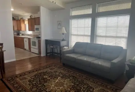 Living room with a gray sofa, patterned rug, and a desk with a lamp by large windows. The kitchen is visible in the background.