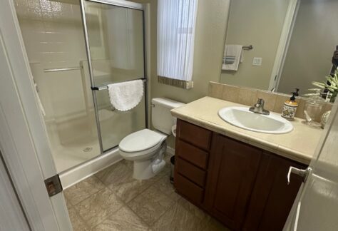 A bathroom with a shower enclosed by glass doors, a toilet, a sink with a cabinet, and a mirror. There's a towel hanging inside the shower and a plant near the sink.