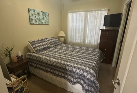 Bedroom with a double bed featuring a blue patterned comforter, a ceiling fan, a small table with a plant, a lamp, and a chest of drawers with a TV on top.