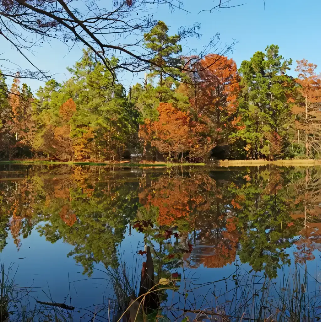 At Rayford Crossing, a serene lake mirrors autumn-colored trees under a clear blue sky, offering the perfect backdrop for Family Spring Adventures. It's an inviting haven embraced by branches and foliage, ideal for long-term RVers seeking tranquillity amidst nature’s splendor.