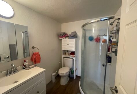 Small bathroom with a sink, mirror, and cabinet on the left, a toilet and storage shelves in the center, and a curved glass shower on the right. Towels and toiletries are visible.