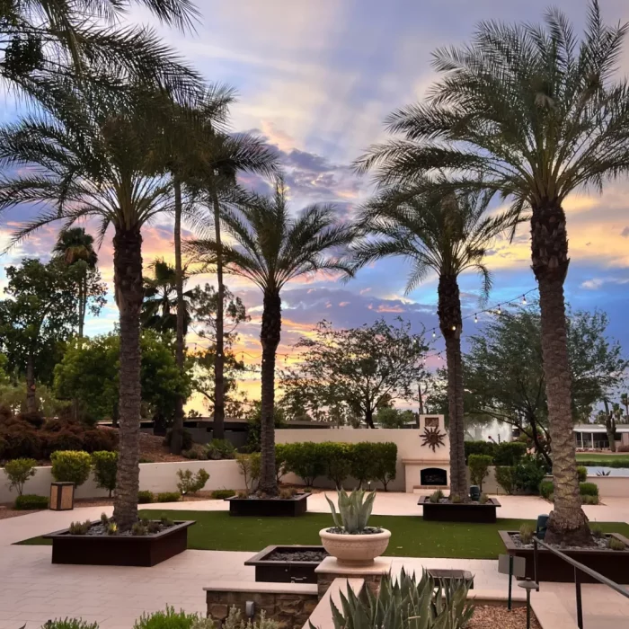 A landscaped garden with tall palm trees, neatly trimmed hedges, and various plants welcomes winter visitors, all set against a colorful sunset sky.