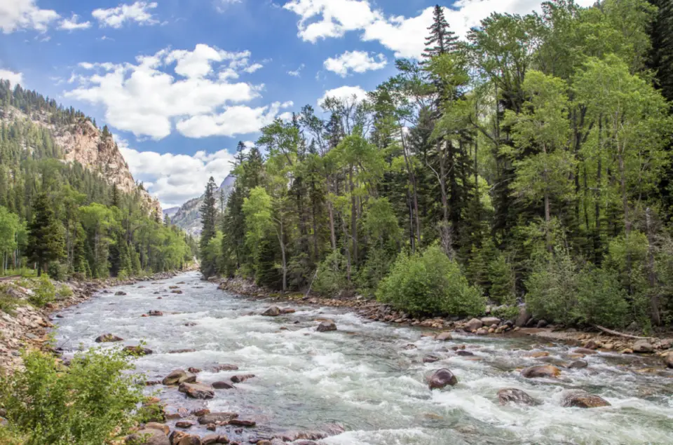 A clear, flowing river bordered by green, dense forest and rocky stream banks under a sky with scattered clouds creates the perfect backdrop for an adventure in Durango. Mountains rise majestically in the background, completing this picturesque summer escape.