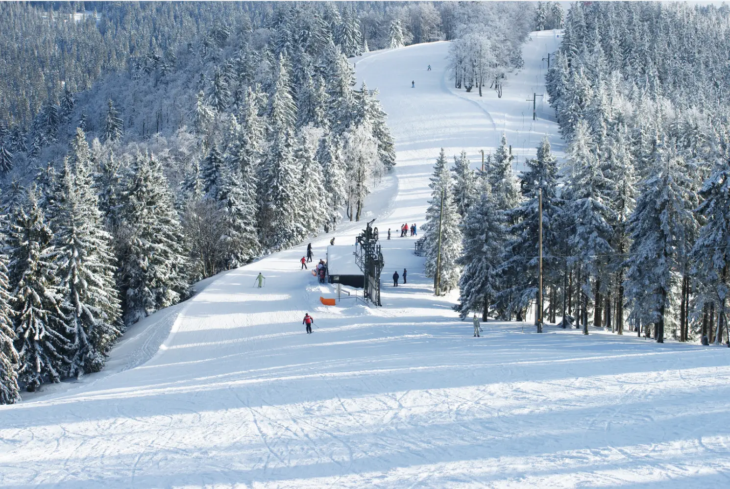 A snow-covered ski slope with skiers gracefully descending creates a perfect winter stay. Snow-laden trees line the slope under a cloudy sky, making it an ideal holiday retreat.