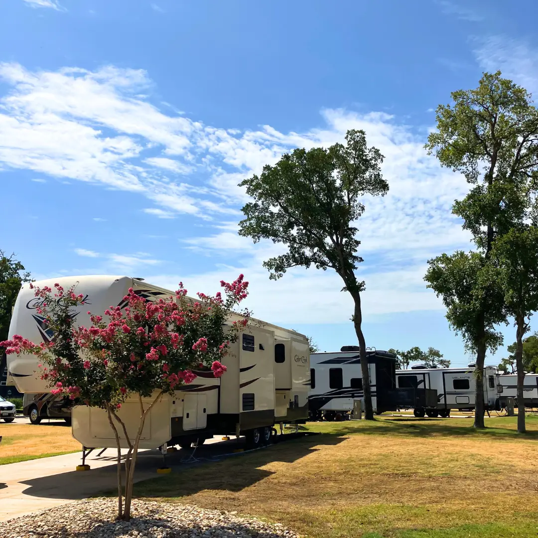RVs parked in a grassy lot with trees and shrubs under a sunny blue sky, ideal for an extended RV stay. Just outside Austin, this serene spot offers the perfect backdrop for relaxation and adventure, as outlined in your ultimate planning guide.