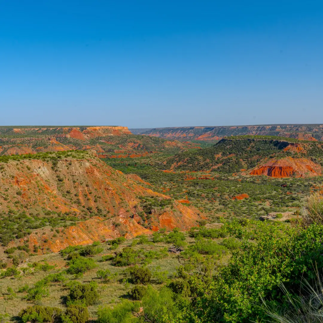 Expansive view of red rock canyons and lush green vegetation under Amarillo's clear blue sky, capturing the vibrant essence of spring.