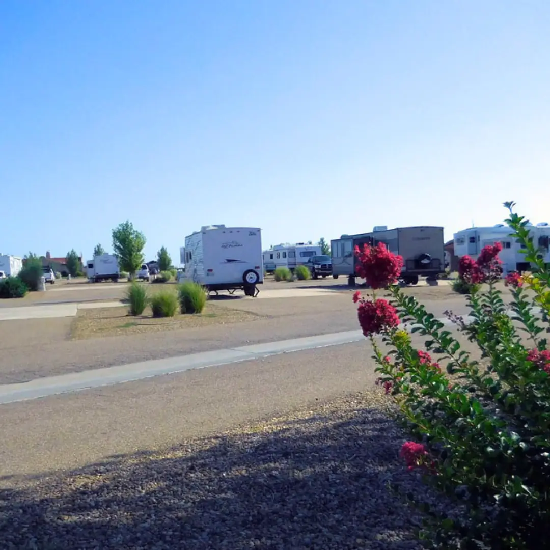 A row of parked RVs in a sunny, open area with gravel, surrounded by green and flowering plants, sets the stage for an Amarillo adventure.
