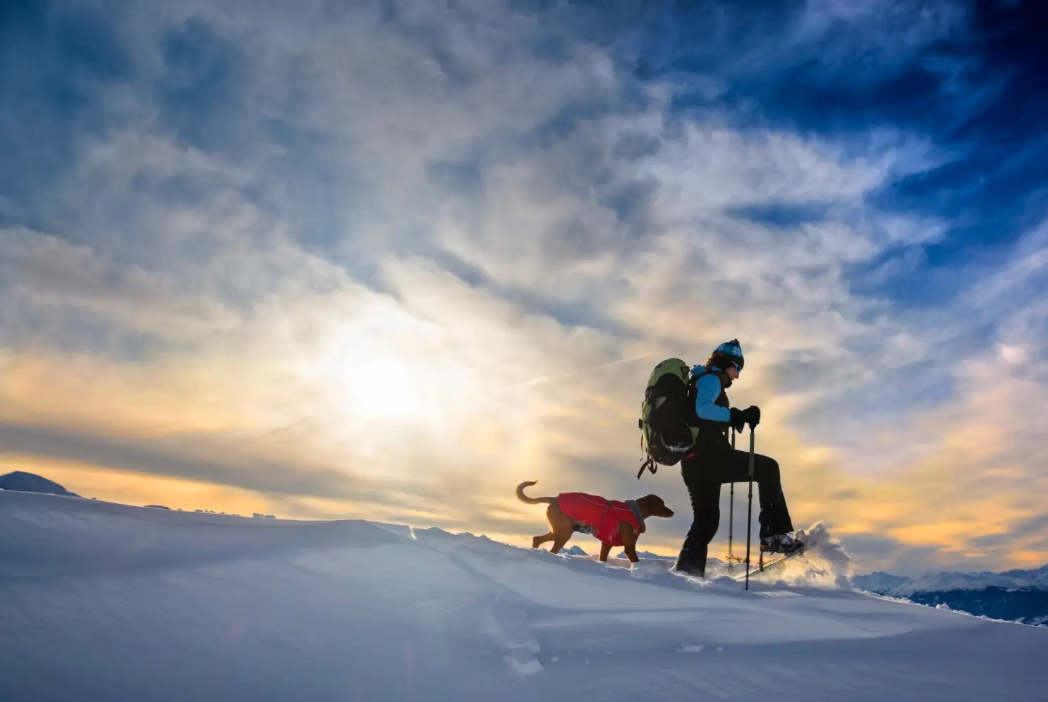 A person snowshoeing with a dog in a snowy landscape, under a cloudy sky with the sun behind them, escapes into the serene beauty of nature. It's a New Year adventure, like exploring the hidden trails around Rayford Crossing.