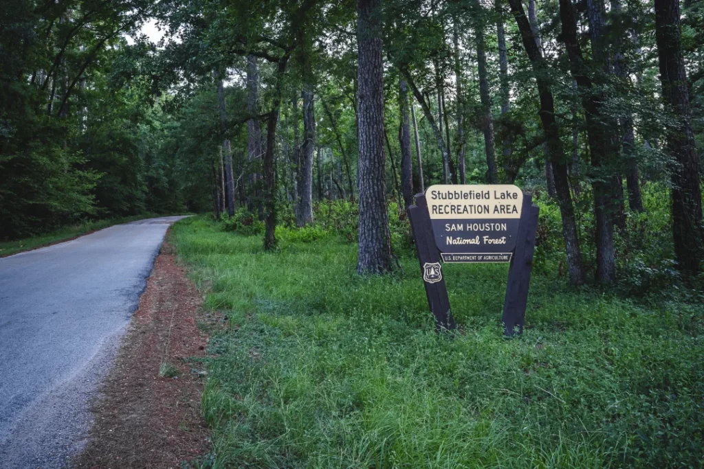 Nestled beside a paved road, the sign for Stubblefield Lake Recreation Area in Sam Houston National Forest beckons visitors to explore nature's attractions amidst the dense trees and grass.