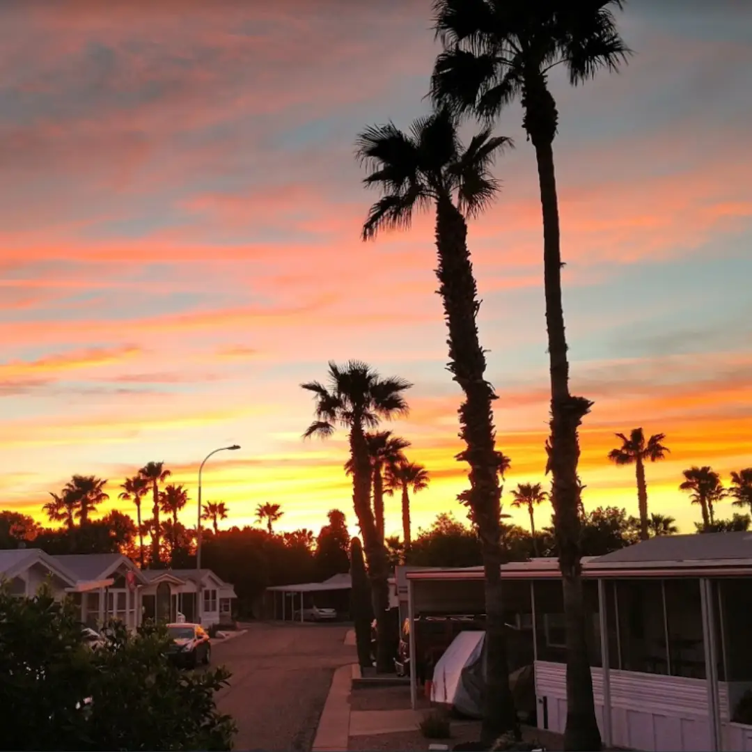 A neighborhood street in Apache Junction, AZ, is lined with palm trees at sunset, showcasing vibrant orange and pink hues in the sky—a perfect setting for spring adventures.