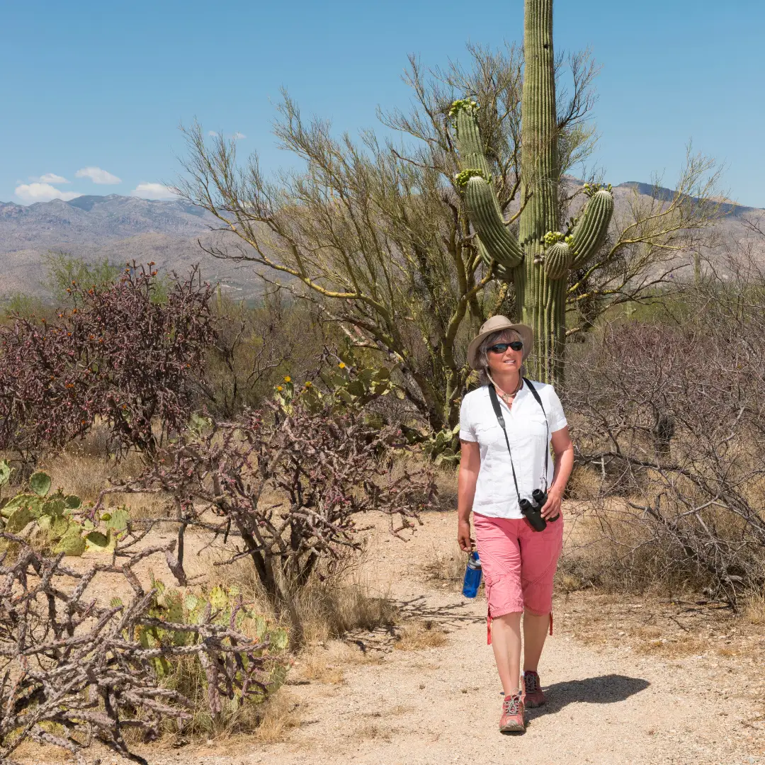 In Apache Junction, a person in a hat, wearing a white shirt and pink shorts, embarks on a spring adventure along a desert trail with their camera and water bottle. Cacti and shrubs paint the AZ landscape in the background.