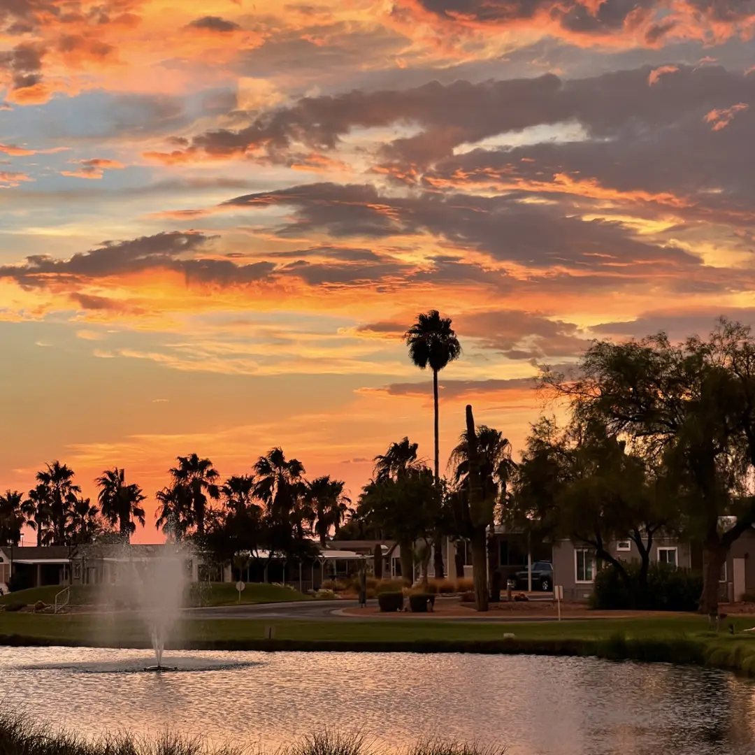 Sunset over a pond with a fountain, surrounded by palm trees and houses under a colorful sky, creates a scene of Winter Bliss reminiscent of an RV Resort.