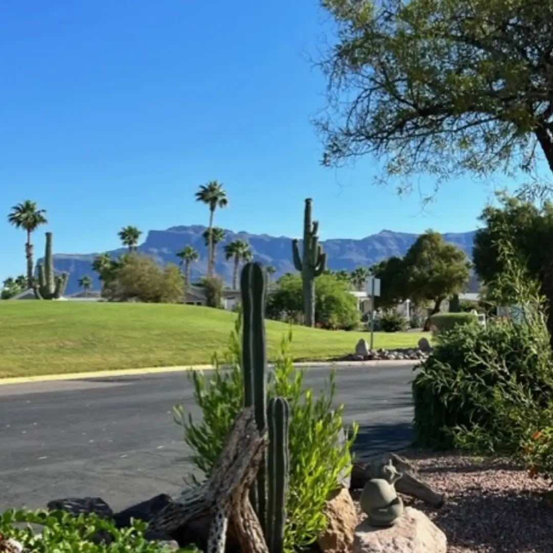 In the foreground of the Gold Canyon, a desert landscape unfolds with cacti and palm trees, set against majestic mountains in the distance under a clear blue sky.