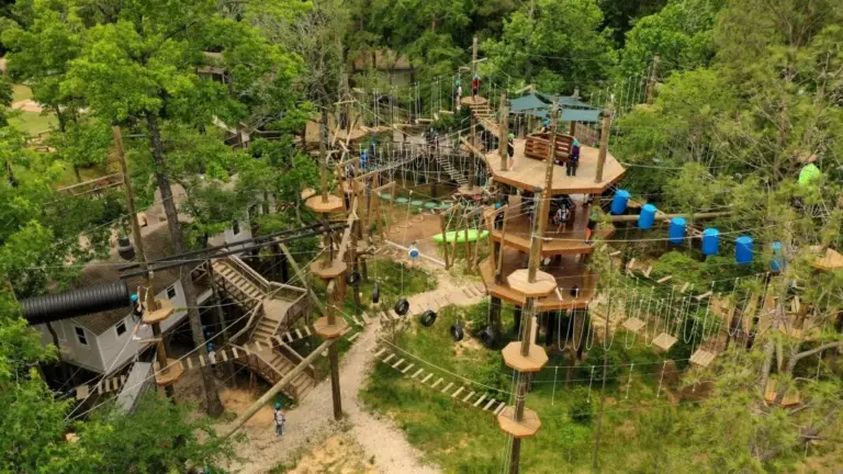 Aerial view of a treetop adventure park with ropes, platforms, and obstacles among green trees. People are exploring the course, making it one of the best attractions to visit near Rayford Crossing RV Resort.