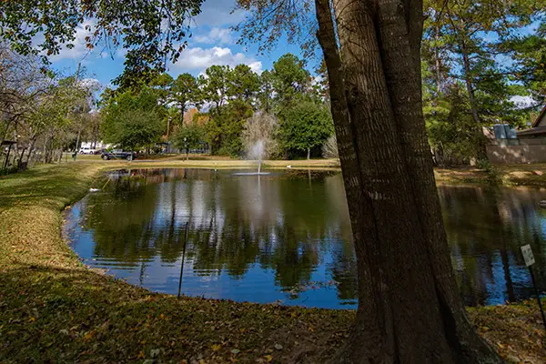 A tranquil pond with a water fountain is surrounded by trees, offering Texas travel a serene escape. A grassy area with fallen leaves lines the water's edge, while in the background, a building and a parked car hint at Texas-sized fun awaiting beyond this peaceful scene.