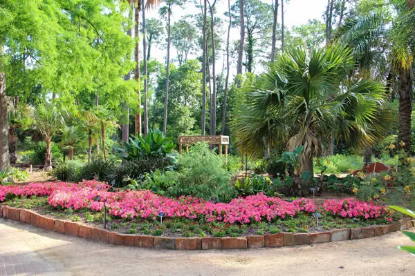 A fun garden scene reveals a curved flower bed of pink blooms, embraced by tropical plants and towering trees. At its heart lies a quaint wooden structure inviting exploration, reminiscent of a hidden gem one might encounter during travel through the lush landscapes of Texas.