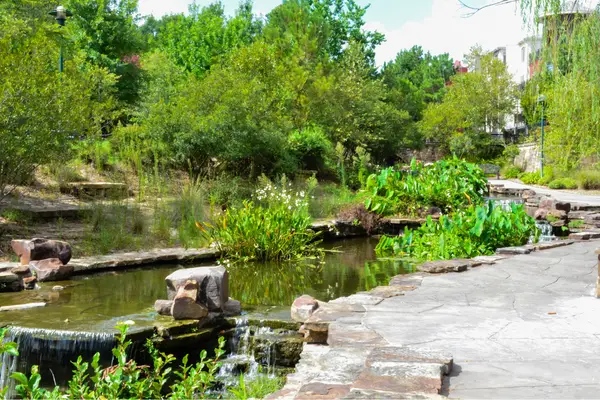 A serene garden walkway in The Woodlands, Texas, meanders beside a small pond with rocks and green vegetation, surrounded by lush trees and vibrant plants.