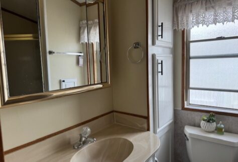 A bathroom with a beige sink and countertop, a mirrored cabinet, a towel ring, a toilet with a small plant, and a window with white lace curtains.