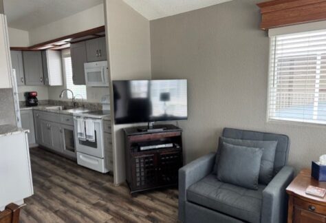A small living area with a gray armchair, flat-screen TV on a stand, and a kitchen with gray cabinets and appliances. Hardwood floor and light coming through a window with blinds.