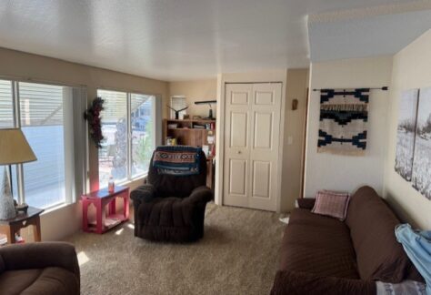 290-AZ-Room-Couch