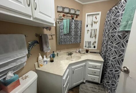 A bathroom with a white vanity, patterned shower curtain, wall-mounted jewelry organizer, mirror, and toiletries on the counter. Towels and tissue box are also visible.