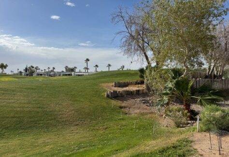 737-Golf-Course-Green