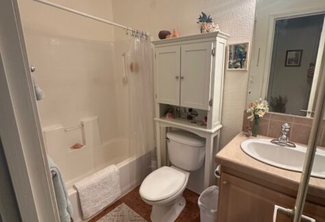 Small bathroom with a bathtub and shower, toilet, white cabinet, sink with countertop, wall mirror, and overhead lighting. Towels and decor are visible on the shelves and countertop.